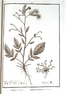 n114_w1150