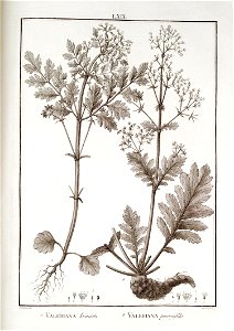 n69_w1150