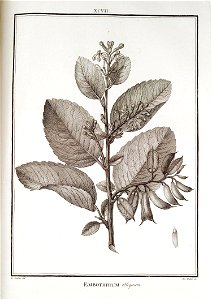 n97_w1150