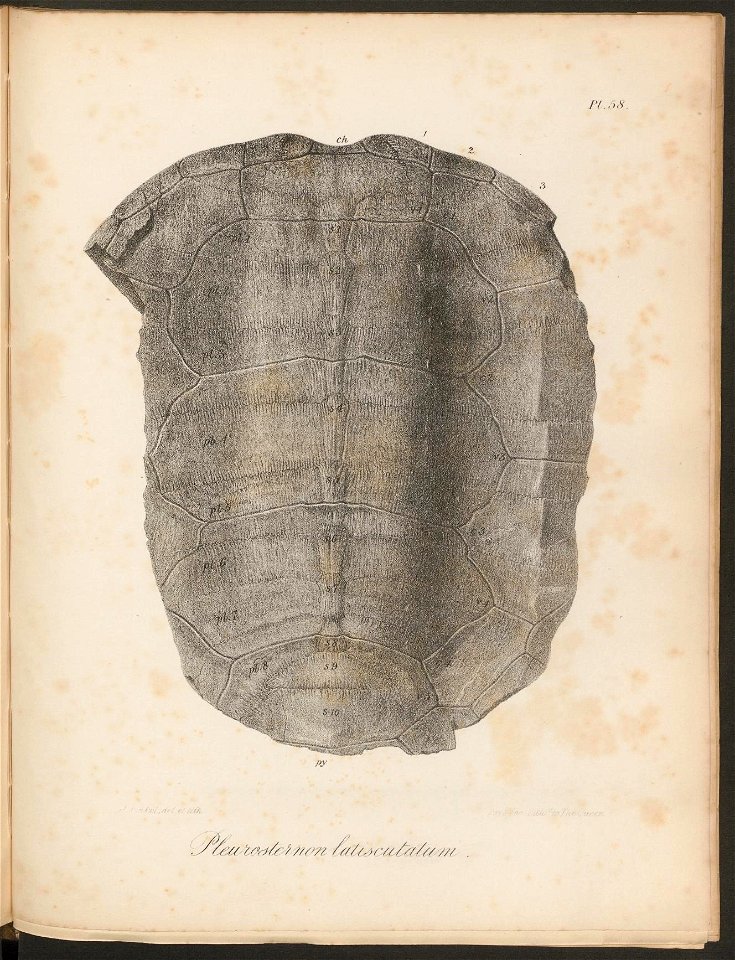 n369_w1150