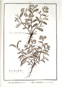 n110_w1150