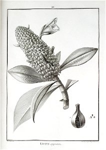 n4_w1150