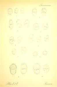 n478_w1150