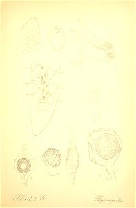 n140_w1150