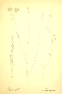 n110_w1150
