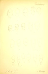 n544_w1150