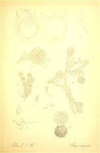 n216_w1150