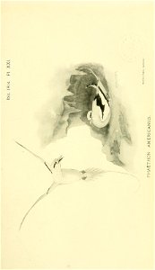 n638_w1150