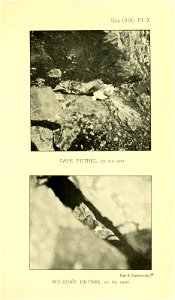 n238_w1150