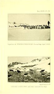 n232_w1150