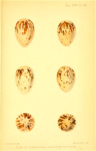 n688_w1150