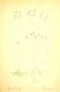 n302_w1150