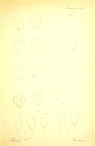 n422_w1150