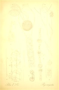 n202_w1150