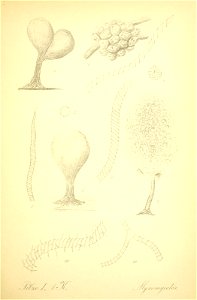 n78_w1150