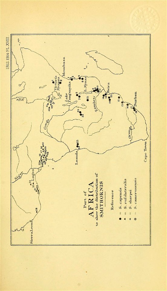n576_w1150