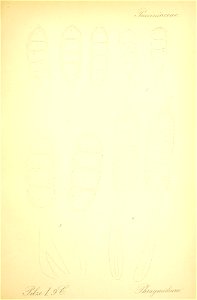 n618_w1150