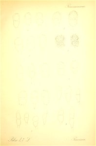 n524_w1150