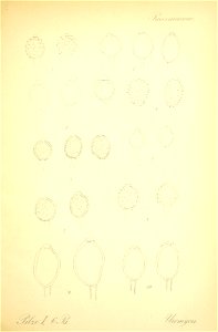 n414_w1150