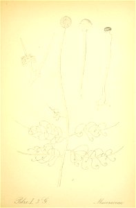 n294_w1150