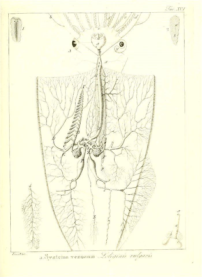n192_w1150