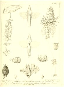 n162_w1150