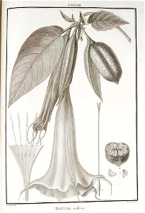 n128_w1150