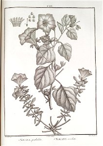 n113_w1150
