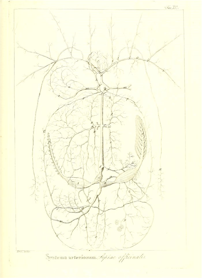 n190_w1150