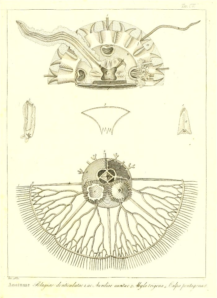 n218_w1150