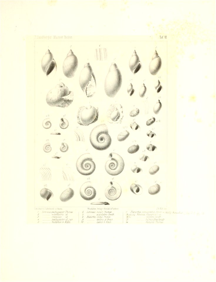 n20_w1150
