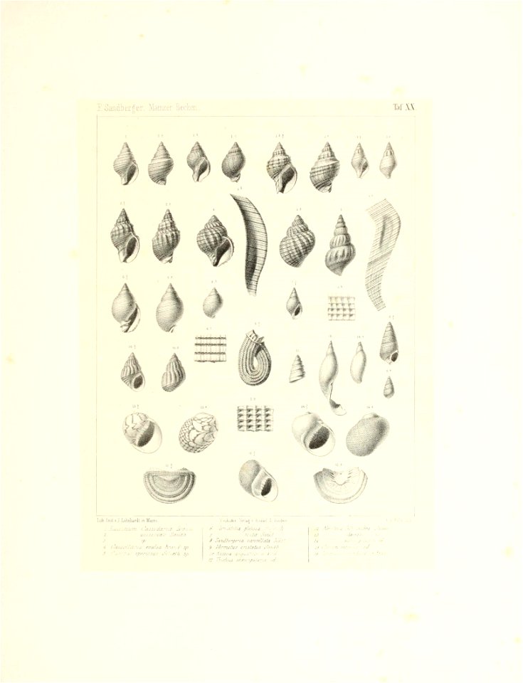 n46_w1150