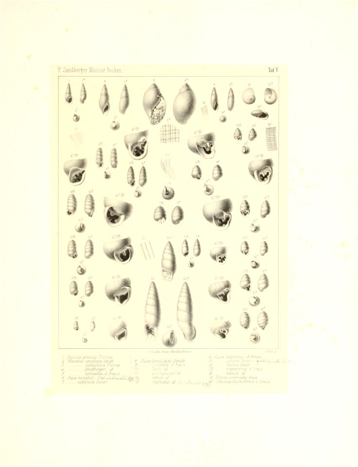 n16_w1150