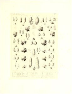 n16_w1150