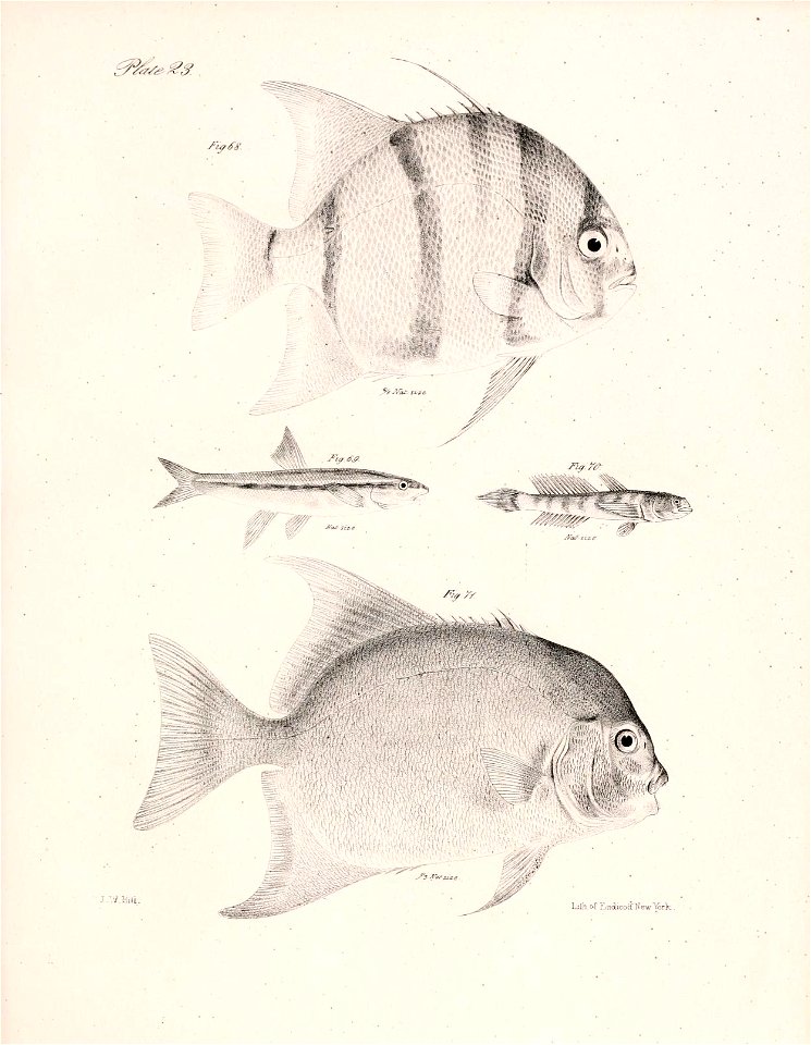 n48_w1150