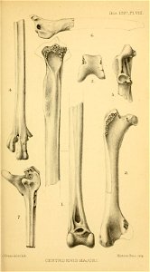n412_w1150