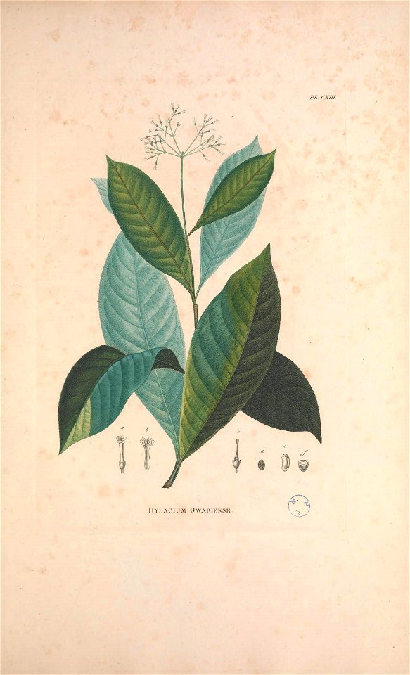 n428_w1150