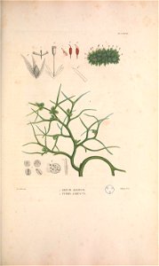 n152_w1150