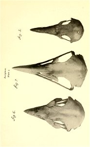 n158_w1150