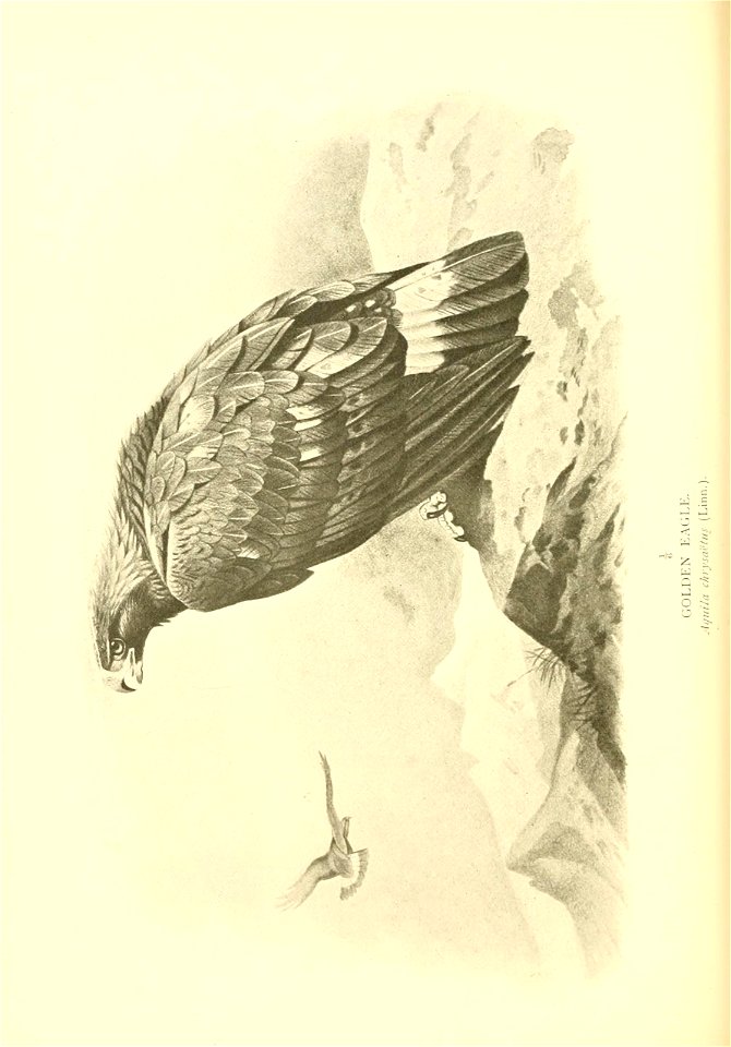 n417_w1150