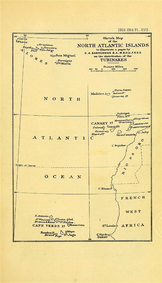 n518_w1150
