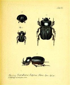 n212_w1150