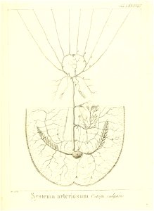 n186_w1150