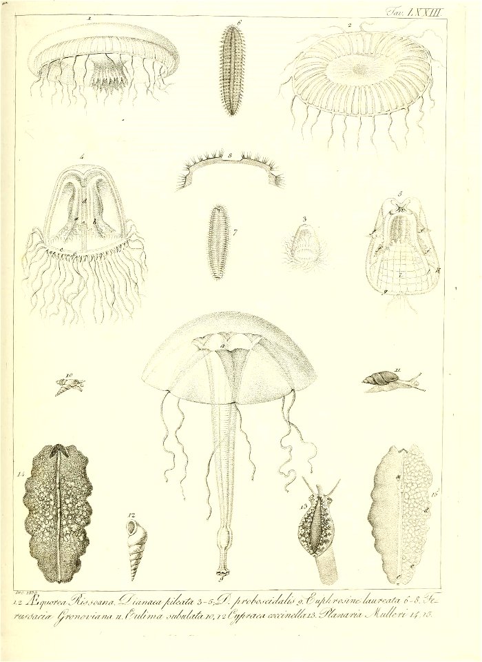 n156_w1150