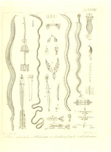 n66_w1150