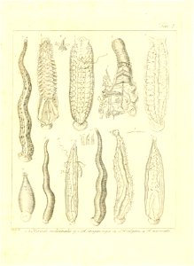 n6_w1150