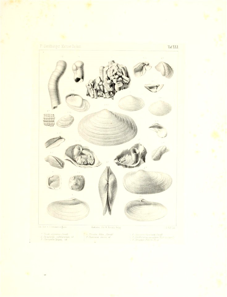 n48_w1150