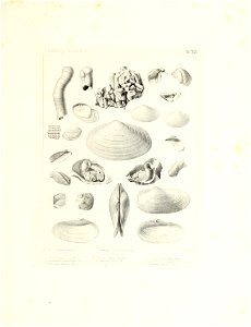 n48_w1150