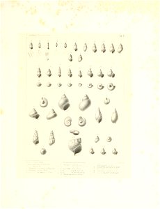n18_w1150