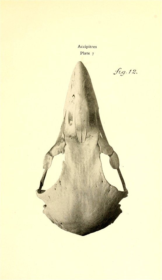 n166_w1150